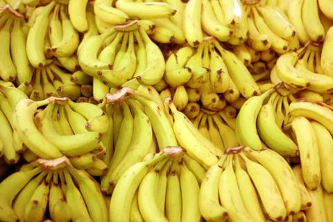 Fresh Bananas Photos