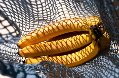 Fresh bananas in string bag, shadows, healthy fruits, Eco friendly, zero wast Stock Photos