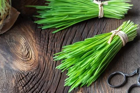 Fresh barley grass on a rustic background with copy space Stock Photos