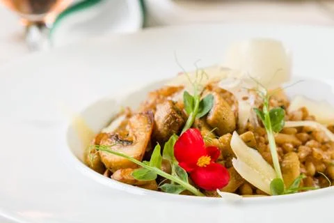 Fresh barley risotto Stock Photos
