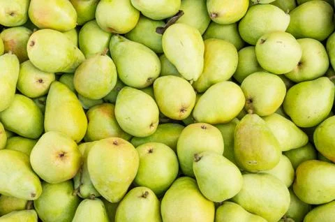 Fresh bartlett pears on display Foto stock