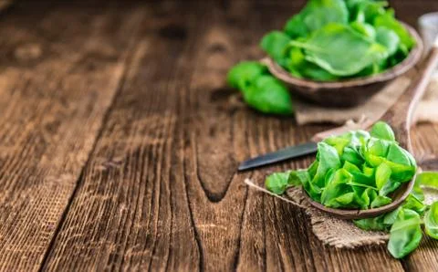Fresh Basil (close-up shot) Stock Photos