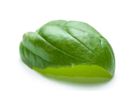 Fresh basil leaf isolated on white background Stock Photos