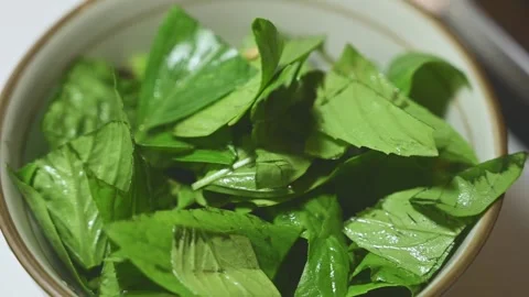 Fresh Basil Leaves in a Bowl Close Up Stock Footage 344670877