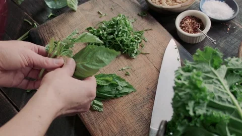 Fresh Basil Leaves Video stock 78648783