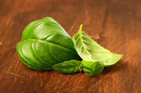 Fresh basil leaves Foto stock