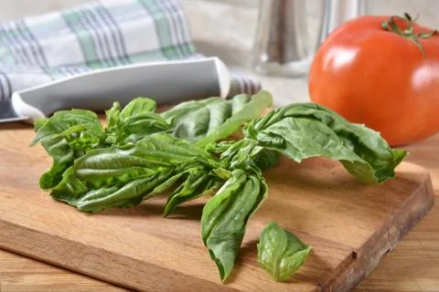 Fresh basil leaves Stock Photos
