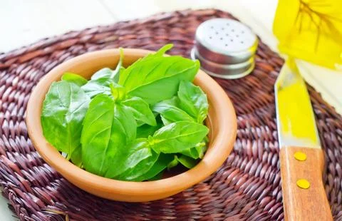 Fresh basil Stock Photos