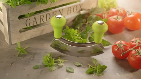 Fresh basil, tomatoes with a mezzaluna knife and wooden box on the stone Stock Footage 110730372