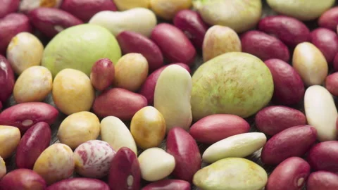 Fresh beans of different varieties and sizes on wooden table Stock Footage 320332851