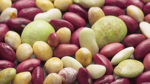 Fresh beans of different varieties and sizes on wooden table Stock Footage 327999676