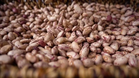 Fresh beans fall into the  basket- slow motion Stock Footage 77553816