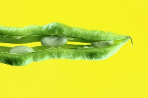 Fresh beans Stock Photos