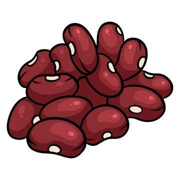 Fresh beans. Red grain beans. Ingredient for dishes. Stock Illustration