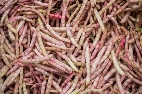Fresh beans in sacks in the view Foto stock