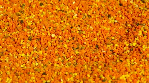 Fresh bee pollen Stock Footage 39950406