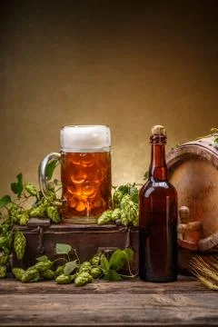Fresh beer concept Stock Photos