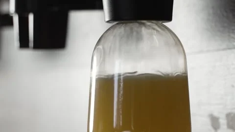 Fresh beer Stock Footage 297004286