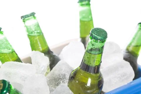 Fresh beer Stock-Fotos