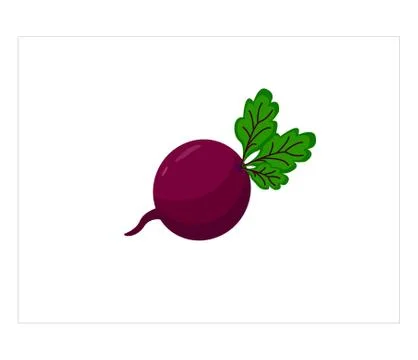 Fresh beet with leaf Stock Illustration
