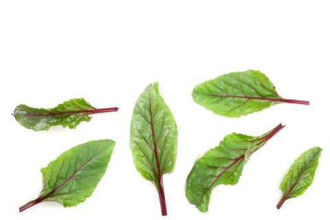 Fresh beet leaf isolated on white background. Top view. Flat lay pattern Stock Photos