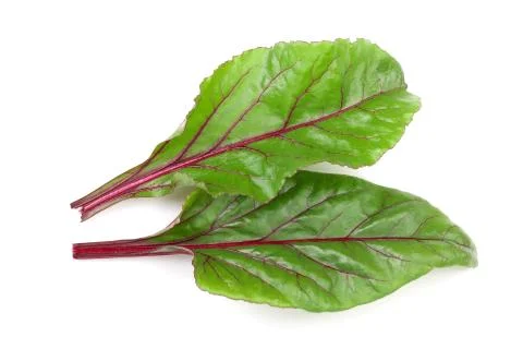 Fresh beet leaf isolated on white background. Top view. Flat lay pattern Stock Photos