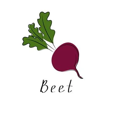 Fresh beet with leaf. Vegetable organic icon. Vector illustration. Isolated Stock Illustration
