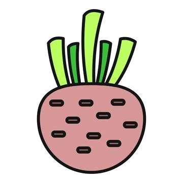 Fresh beet root vegetable healthy food illustration Stock Illustration