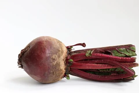 Fresh Beet Root on white background Foto stock