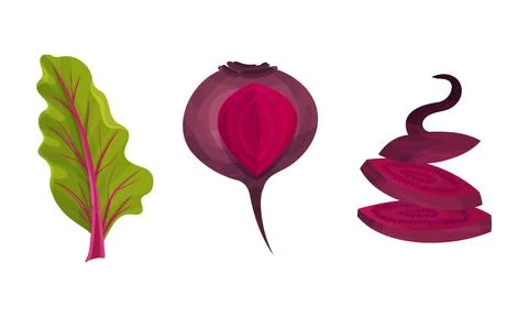 Fresh beetroot and leaf set. Sliced beet organic vegetable, natural farm food Illustrazione stock