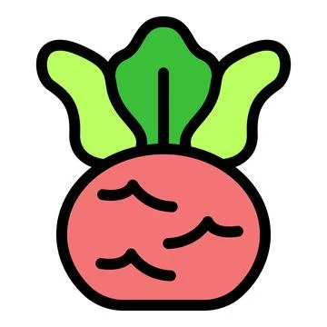 Fresh beetroot with green leaves growing from ground Stock Illustration