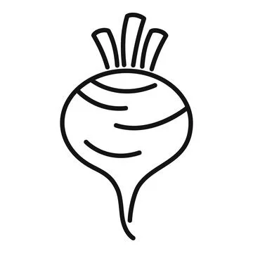 Fresh beetroot with green top growing in garden Illustrazione stock