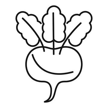 Fresh beetroot growing with leaves icon thin line style Stock Illustration