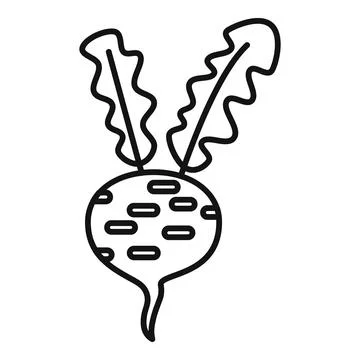 Fresh beetroot growing with leaves icon thin line vector 스톡 일러스트