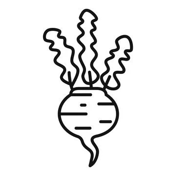 Fresh beetroot growing with leaves line icon 스톡 일러스트