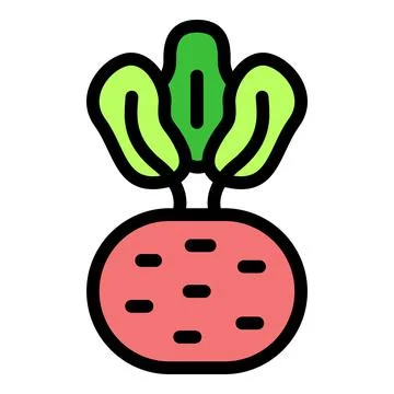 Fresh beetroot growing, vibrant and healthy root vegetable Stock Illustration