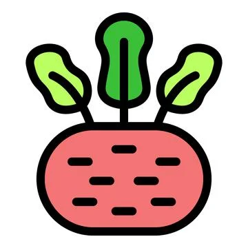 Fresh beetroot growing with vibrant green leaves Stock Illustration