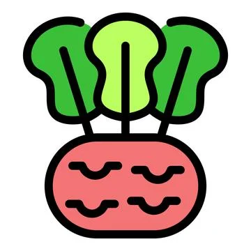 Fresh beetroot growing with vibrant green leaves Stock Illustration