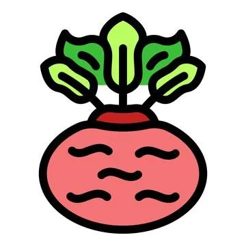 Fresh beetroot growing with vibrant green leaves Stock Illustration