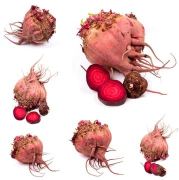 Fresh beetroot isolated on white background Stock Illustration