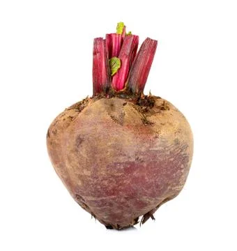 Fresh beetroot isolated on the white background Stock Photos