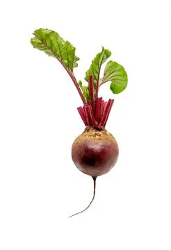 Fresh beetroot isolated on white Stock Photos