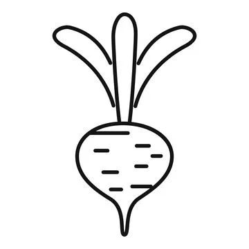 Fresh beetroot with leaves growing in black line style Stock Illustration