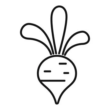 Fresh beetroot with leaves growing in black line style Stock Illustration