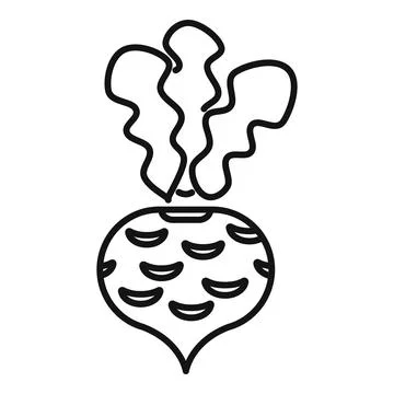Fresh beetroot with leaves growing in black and white line art Stock Illustration