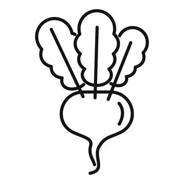 Fresh beetroot with leaves growing in garden icon Stock Illustration