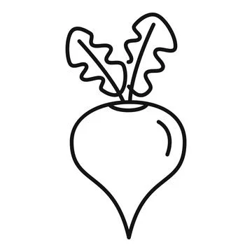 Fresh beetroot with leaves growing in garden Stock Illustration