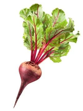 Fresh beetroot Stock Photos