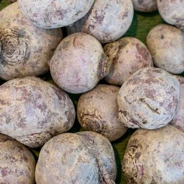 Fresh beetroot Stock Photos