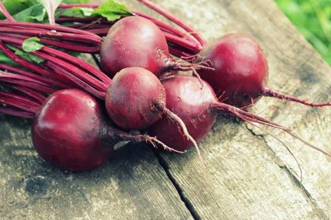 Fresh beetroot on rustic wooden background. Harvest vegetable cooking concept Stock Photos